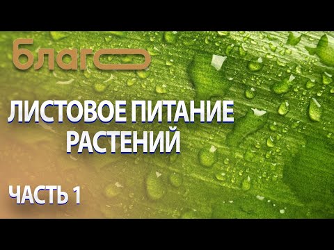 Видео: Листовое питание растений | Что это такое? Для чего оно нужно? | Часть 1 |