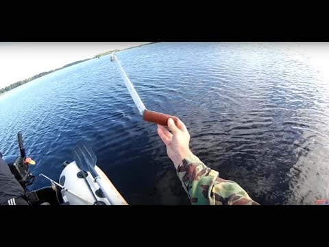 Видео: Сом на квок 2018. Рыбалка на сома. Ловля сома. Квочение сома. Ловля сома на квок. Catfish / Сом