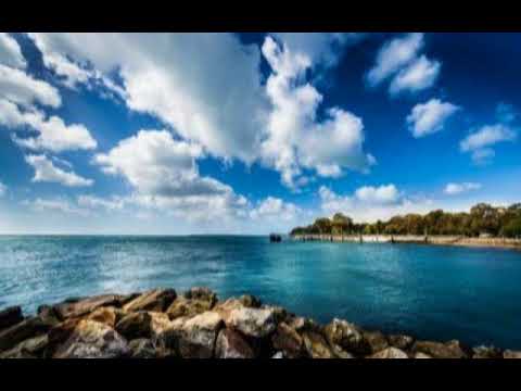 Видео: шайх Содик Самаркандий - Аллохга якин илми билан ишониш (1-дарс)