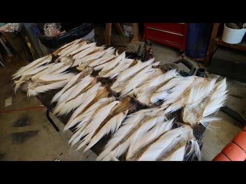 Видео: Обработка оленьих хвостов для джиг-вязания