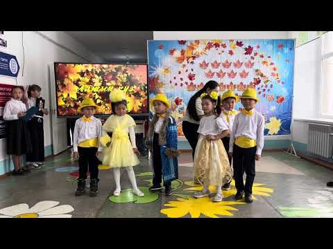 Видео: 7 ноября 2025 г.