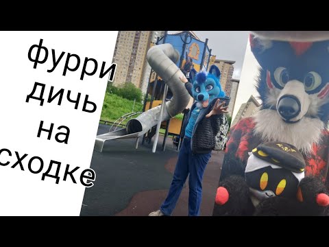Видео: Фурри сходка, локалка (Leo the fox)