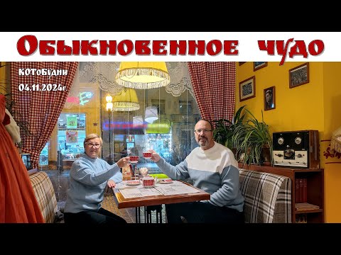 Видео: Обыкновенное Чудо или КОТоБудни от 04.11.2024 г.