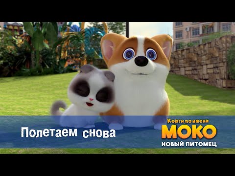 Видео: Корги по имени Моко. Новый питомец - Серия 14.Полетаем снова - Премьера мультфильма