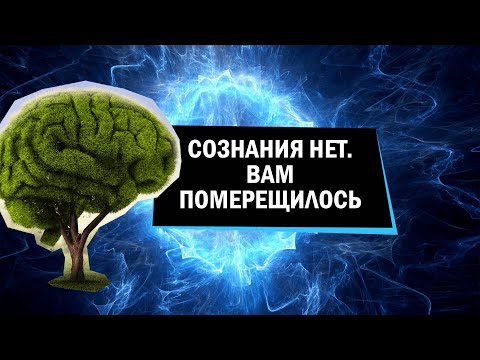 Видео: Иллюзионизм: сознания нет, вам померещилось
