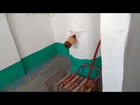 Видео: Звуки подъездов