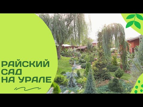 Видео: Экскурсия в супер- сад мечты. Потрясающе красивый частный сад