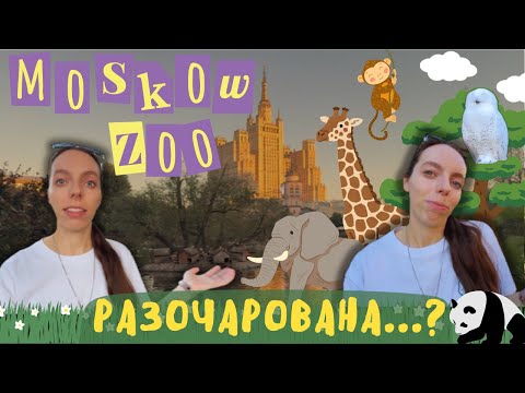 Видео: Московский зоопарк: стоит ли ваших денег и времени? Честный ответ