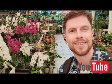 Видео: Большой обзор садового центра Эль Росаль. Гран Канария. 2024.