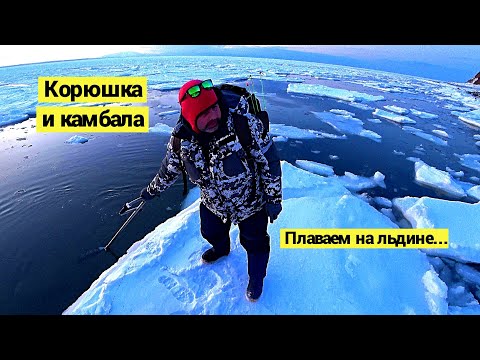 Видео: Один день корюшка, второй день камбала! Плаваем на льдине // (Eng Subs)