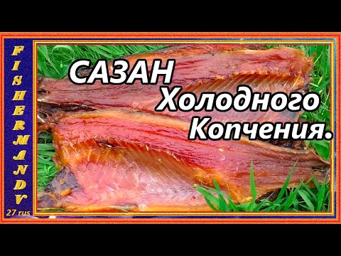 Видео: Сазан холодного копчения, балык из сазана, дымогениратор Пионер