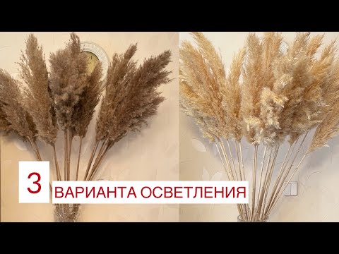 Видео: Как осветлить тростник.Обесцвечивание сухоцветов. Осветление пампасной травы. Отбеливание сухоцвета