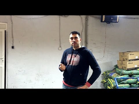 Видео: Какие саженцы грецкого ореха мы рекомендуем.