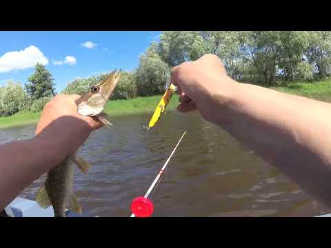 Видео: Рыбалка троллингом в Новгородской области