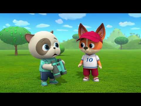 Видео: КОШЕЧКИ-СОБАЧКИ / Любимые увлечения / Только новые серии