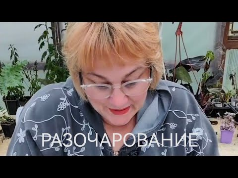 Видео: Дорогой клон- РАЗОЧАРОВАНИЕ!