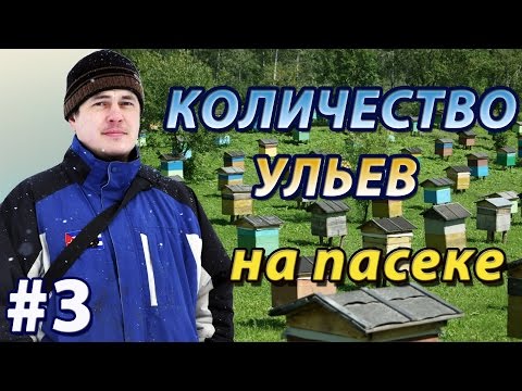 Видео: Сколько ульев на пасеке нужно иметь начинающему пчеловоду. Любительская и коммерческая пасеки.