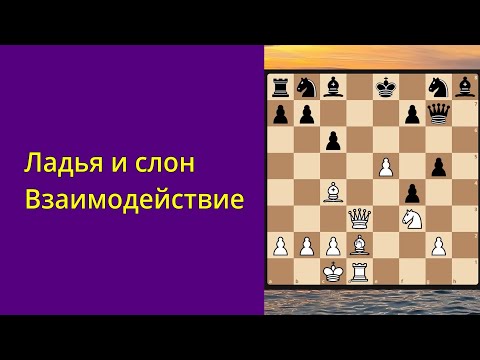 Видео: Взаимодействие ладьи и слона