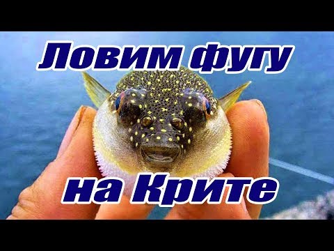 Видео: Греция Крит Рыбалка с лодки