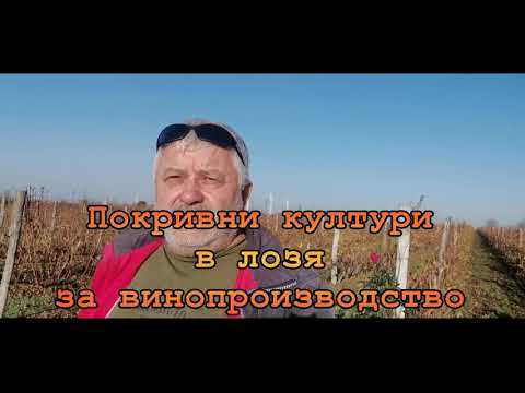 Видео: Покривни култури.