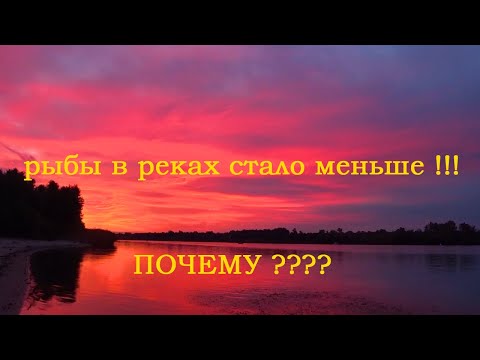 Видео: о чём молчат рыбоводы????!!! #1