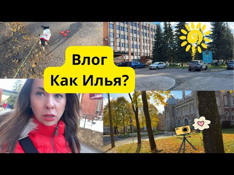Видео: 🙏Как Илья? Лечение в больнице в Нарве и первые заморозки 🍂