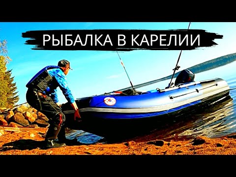 Видео: РЫБАЛКА В КАРЕЛИИ НА СУДАКА ОСЕНЬЮ. ЛОВЛЯ ХИЩНИКА НА ВОБЛЕРЫ С ЛОДКИ. ОСЕННЯЯ РЫБАЛКА 2025