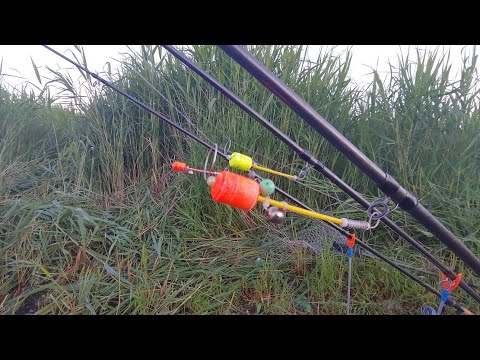 Видео: З ночівлею на 2 дні в коралове