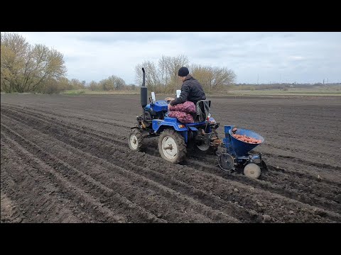 Видео: Посадка картоплі мототрактором форте і навісною картоплесажалкою. Піднімемо країну всі разом!