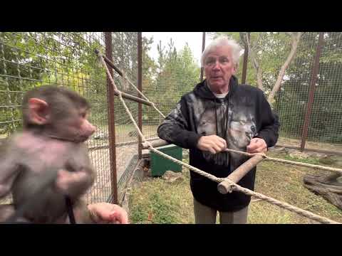 Видео: Николай Павленко  о том с кем можно сравнить ГАМАДРИЛ по ИСТЕРИЧНОСТИ? Люся делает на моей голове ..