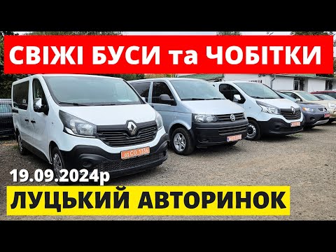 Видео: СВІЖІ ЦІНИ НА БУСИ та ЧОБІТКИ /// ЛУЦЬКИЙ АВТОРИНОК /// 19.09.2024р. #буси #автопідбір #автобазар