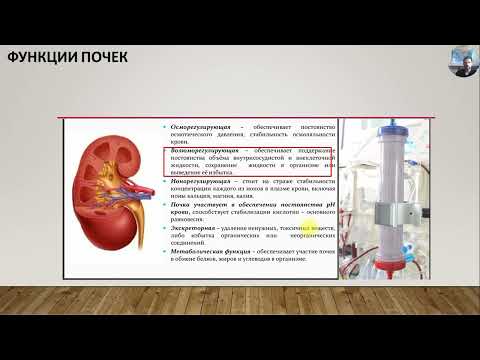 Видео: ЗПТ: часть 2 Ультрафильтрация
