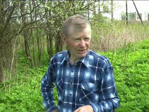 Видео: Красный холм  09 05 10