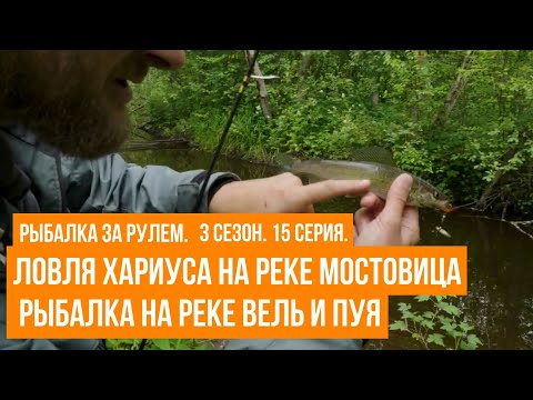 Видео: Ловля хариуса на реке Мостовица  \ Рыбалка на реке Вель и Пуя \ Рыбалка за рулем \ 3 сезон