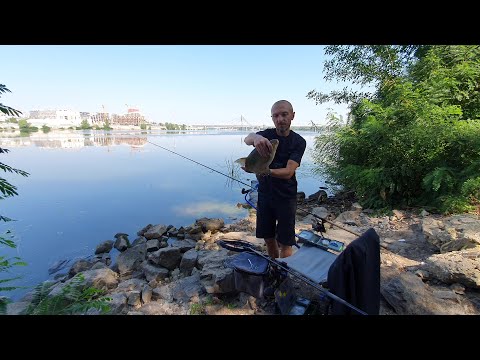 Видео: Рыбалка на Фидер Днепр/ЖЕСТЬ РЫБАЛКА/Ловля на Перловку и Кукурузу/Видеоотчет Август 2023