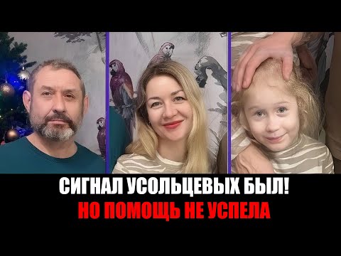 Видео: Три роковые ошибки, которые стоили им жизни: что погубило Усольцевых в тайге?