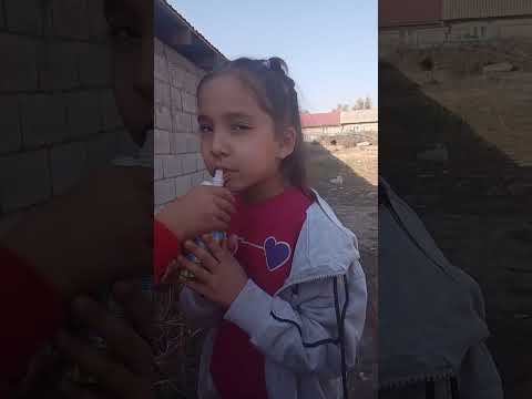 Видео: Ізі бар шыны мен аңды маняк