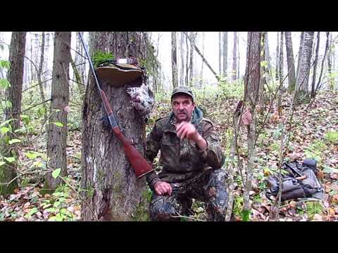 Видео: Охота с лайкой !! Куницы. Хорь и все остальное .!!