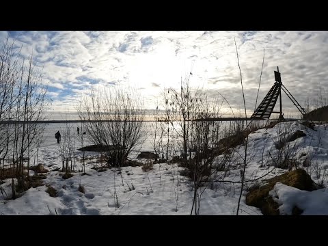 Видео: ЗАКРЫТИЕ ЗИМНЕГО СЕЗОНА РЫБАЛКИ В КАРЕЛИИ 🧊 🎣