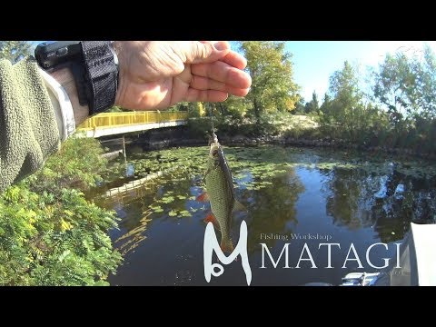 Видео: Городской мормышинг, наноджиг. Прогулка с Matagi TWJ-562XUL.