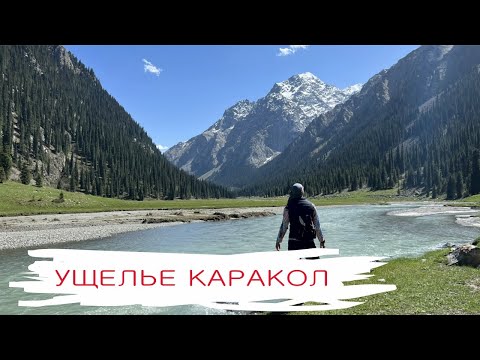Видео: Ущелье Каракол, трекинг в Киргизии