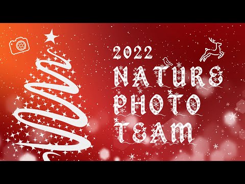 Видео: Специальный выпуск Nature Photo Team. Новогодний стрим!