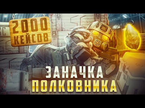 Видео: ЗАФАРМИЛ 2 МИЛЛИОНА ДОТАЦИЙ И ОТКРЫЛ 2000 ЗАНАЧЕК ПОЛКОВНИКА + ОСОБЫЕ КЕЙСЫ, ЭСТЕТА И ДАРЫ ШЕПОТА