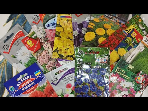 Видео: Какие цветы посеять сразу в клумбу