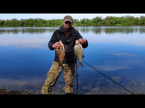 Видео: #Рыбалка на Оке, рыбка проснулась#Фидер#Ока