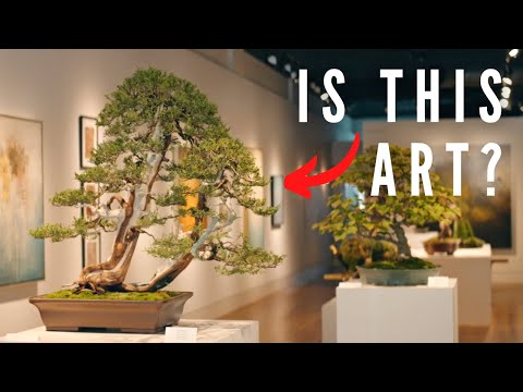 Видео: БОНСАЙ — ЭТО ИСКУССТВО?