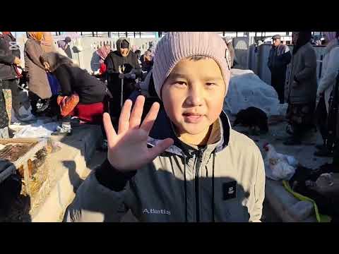 Видео: 6 НОЯБР 2025 ЖЫЛ ХАЛЫКАБАД ТАУЫК БАЗАР БАХАЛАРЫ