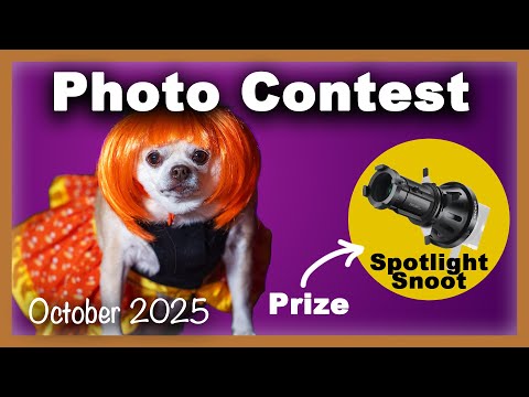 Видео: Октябрьский фотоконкурс — выиграйте «Spotlight Snoot» — 2025