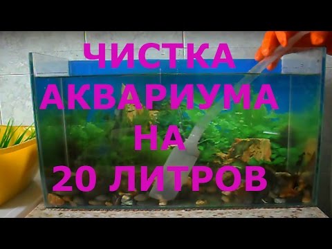 Видео: Как Почистить Аквариум / Аква 20 литров