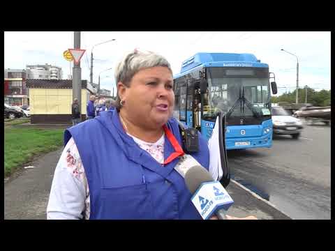 Видео: «Ловля зайцев» в Новокузнецке продолжается